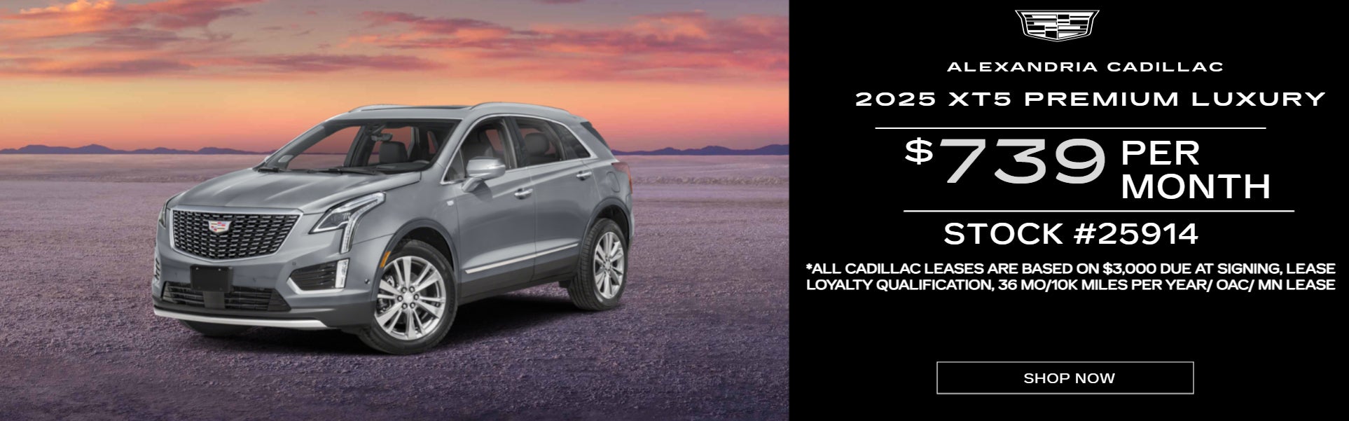 Silver 2025 XT5 PREMIUM LUXURY on road